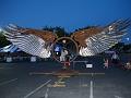 Metal-winged Christy (far)